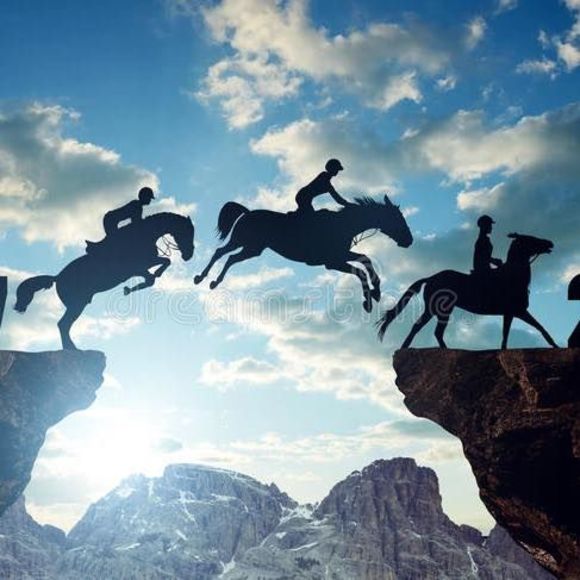 Meet your Posher, Sandra - Picture 1 of 1